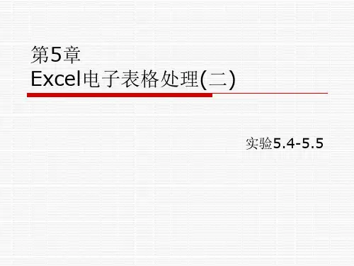 Excel电子表格处理(二)⑨实验5.4-5.5