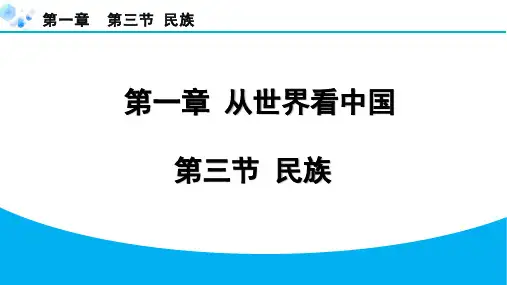 1.3 民族【习题课件】八年级上册人教版地理