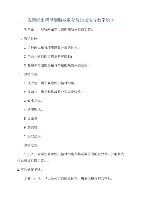 观察蝗虫精母细胞减数分裂固定装片教学设计