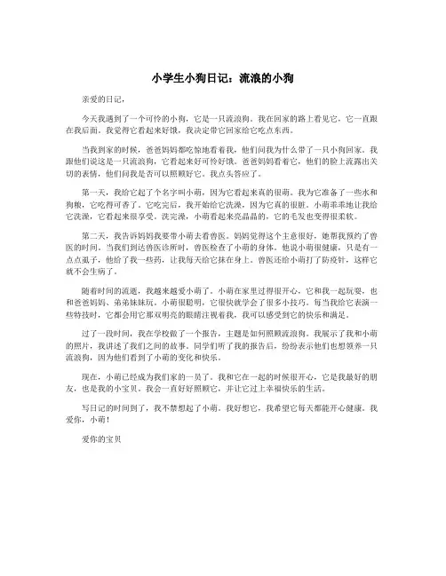 小学生小狗日记：流浪的小狗