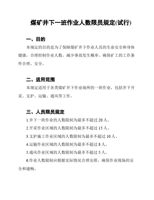 煤矿井下一班作业人数限员规定(试行)