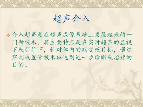 超声介入PPT课件