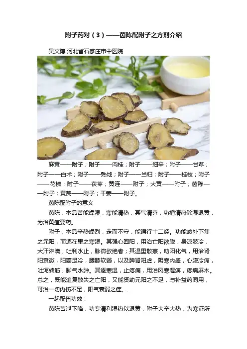 附子药对（3）——茵陈配附子之方剂介绍