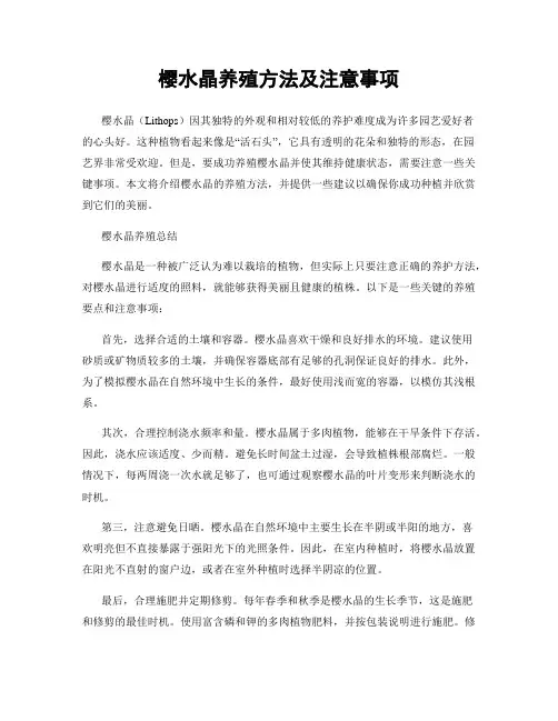 樱水晶养殖方法及注意事项