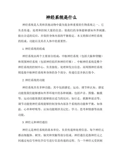 神经系统是什么