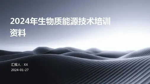 2024年生物质能源技术培训资料