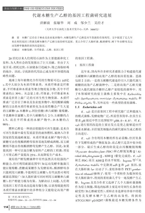 木糖生产乙醇的基因工程菌研究进展