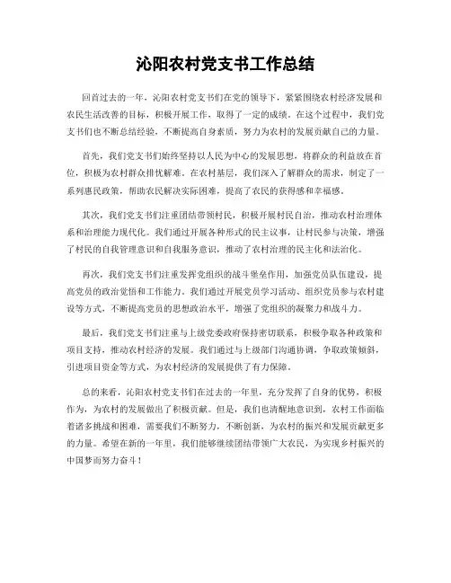沁阳农村党支书工作总结