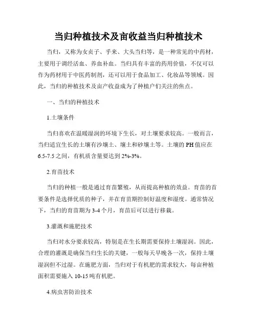 当归种植技术及亩收益当归种植技术