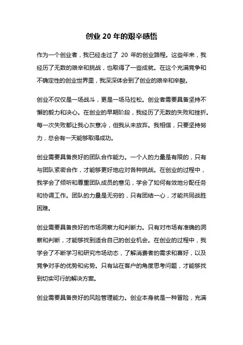创业20年的艰辛感悟