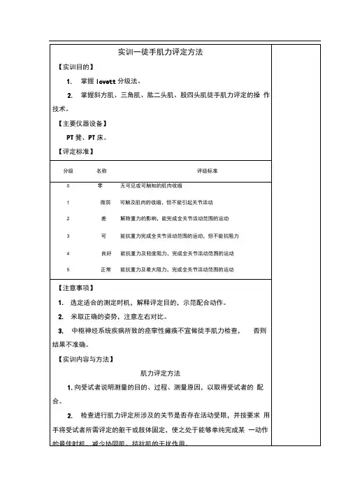 徒手肌力的评定