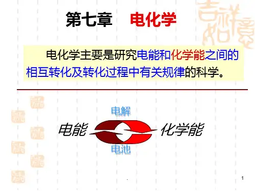 物理化学电化学(新)PPT课件