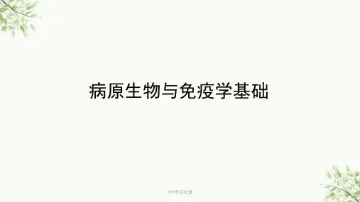 常见病毒课件