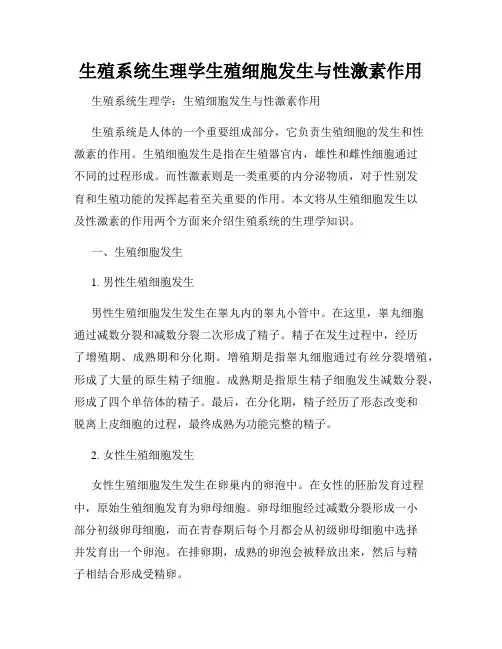 生殖系统生理学生殖细胞发生与性激素作用