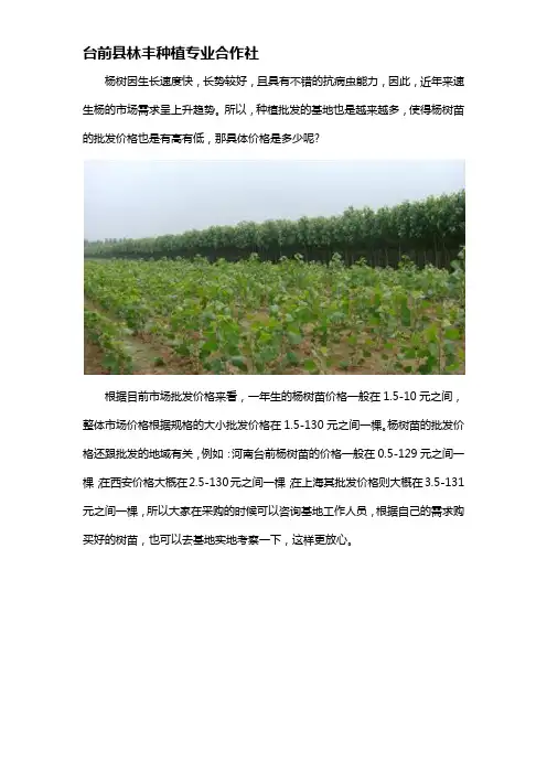 2021年杨树苗批发价格多少