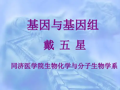 分子生物学--基因与基因组课件