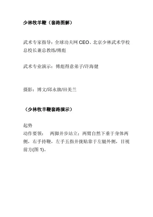 少林牧羊鞭(套路图解)