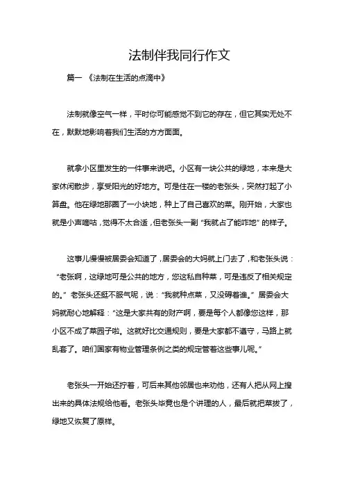 法制伴我同行作文