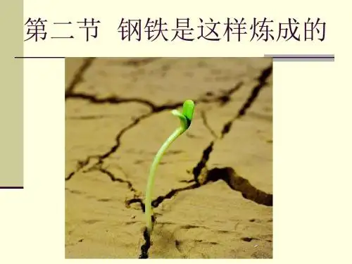 第六课第二节钢铁是这样炼成的