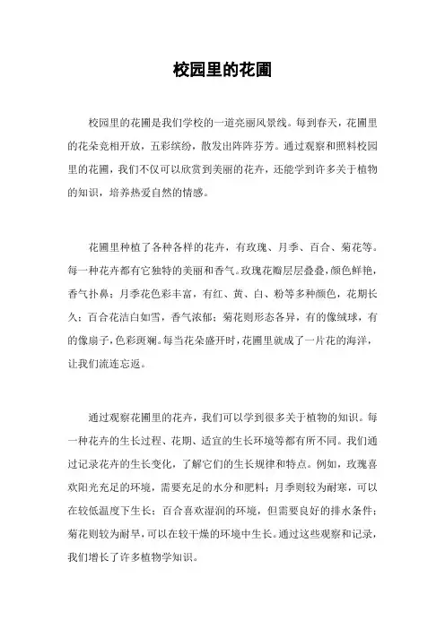 校园里的花圃