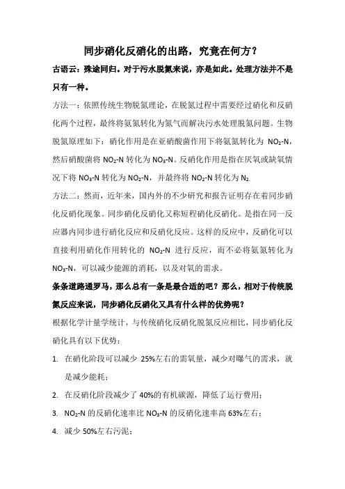 同步硝化反硝化