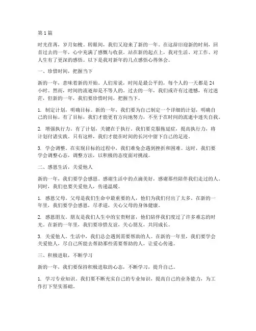 进入新年感悟心得体会(3篇)