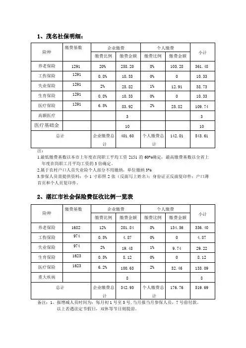 社保明细表