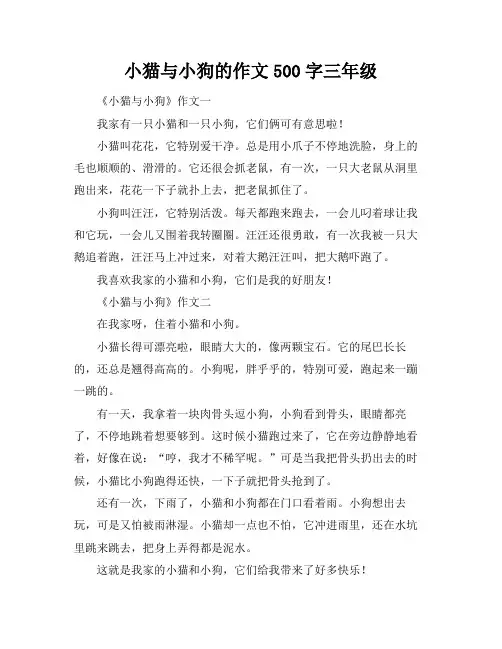 小猫与小狗的作文500字三年级