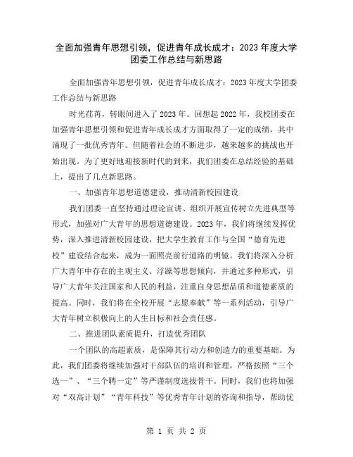 全面加强青年思想引领,促进青年成长成才：2023年度大学团委工作总结与新思路