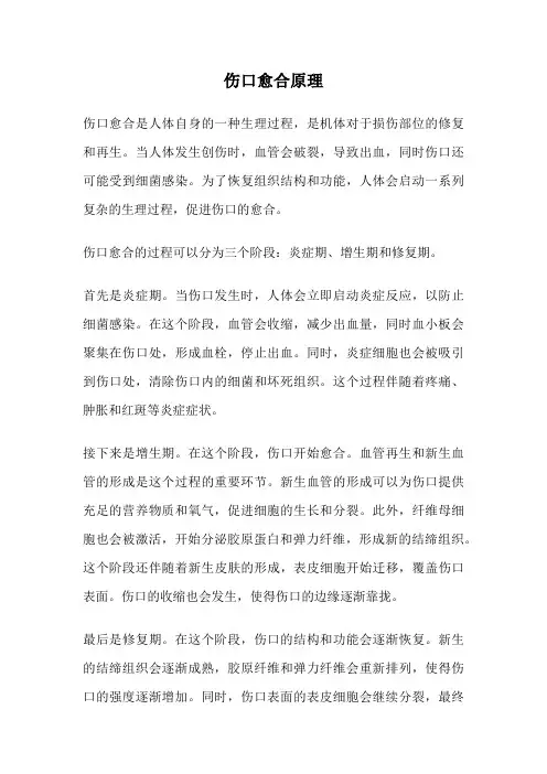 伤口愈合原理