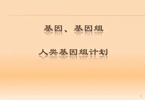 基因 基因组 人类基因组计划