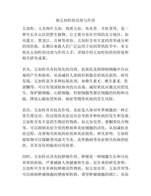 刺五加籽的功效与作用