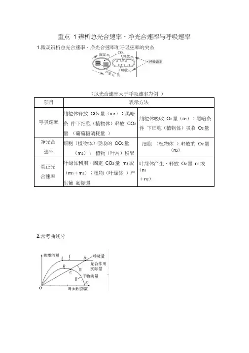 最经典总结-辨析总光合速率、净光合速率与呼吸速率