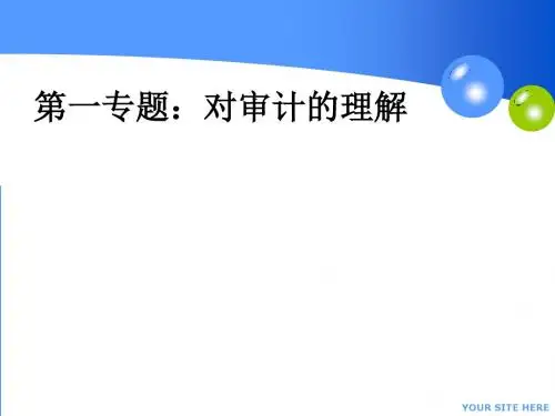 审计理论知识(PPT38张)
