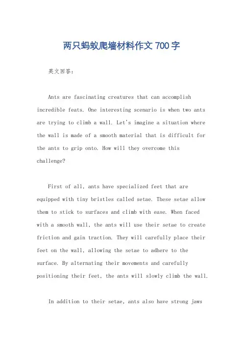 两只蚂蚁爬墙材料作文700字