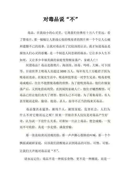 对毒品说.doc11
