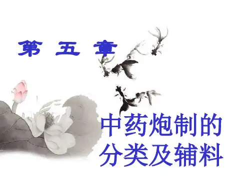 中药炮制学第05章中药炮制分类和辅料