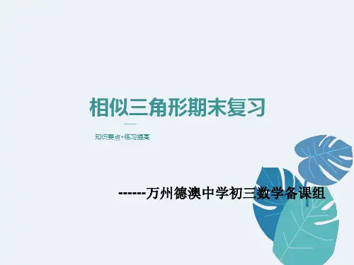 相似三角形期末复习