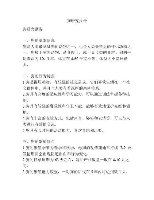 狗研究报告