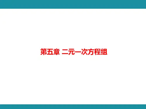 第5章 二元一次方程组 思维图解+综合与实践-知识考点梳理 北师大版数学八年级上册课件