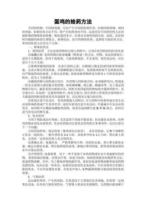 蛋鸡的给药方法