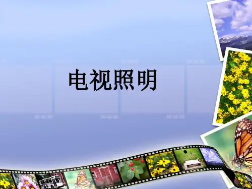 电视照明教案..