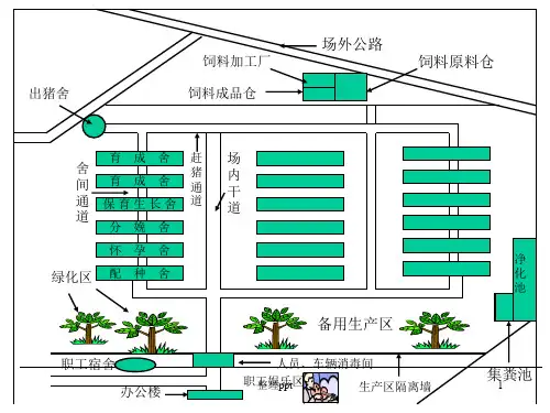 各大猪场平面设计图