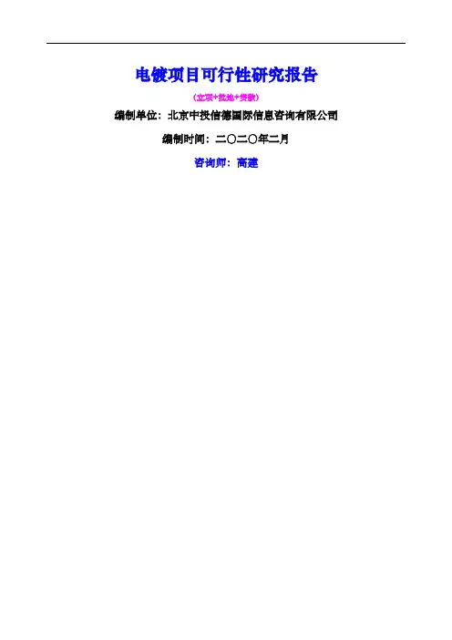 电镀项目可行性研究报告