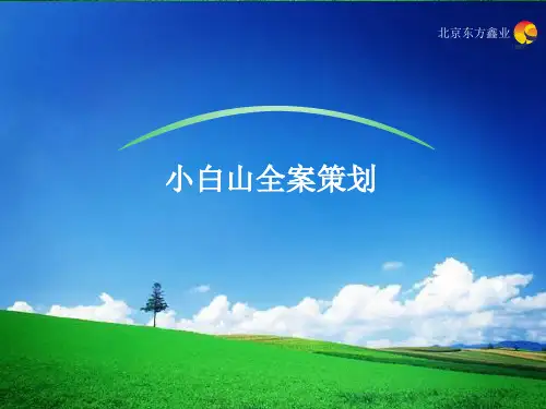 河北张家口小白山项目全案策划方案_136PPT