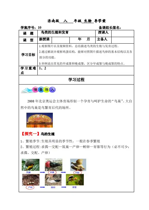 济南版生物八年级上册4.2.3鸟类的生殖和发育(导学案)