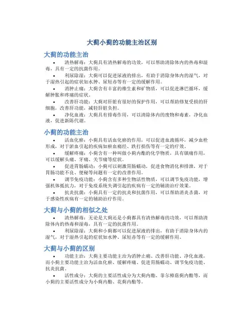 大蓟小蓟的功能主治区别
