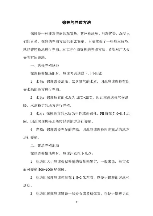 锦鲤的养殖方法