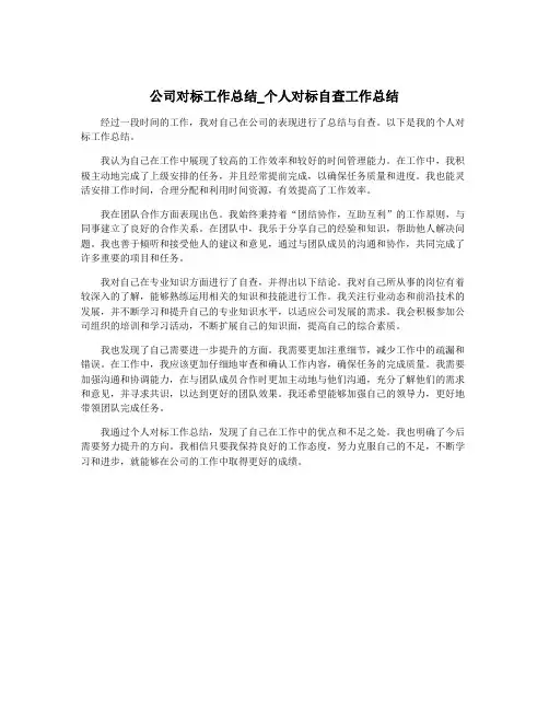 公司对标工作总结_个人对标自查工作总结