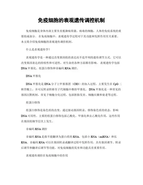 免疫细胞的表观遗传调控机制